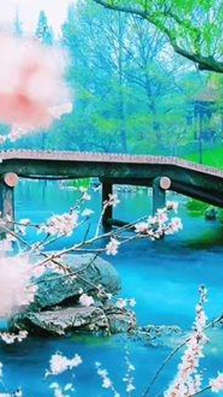 丰田卡车找不同